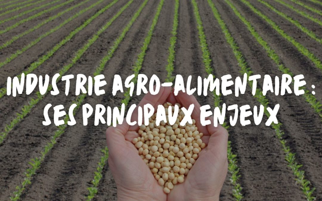 Industrie agro-alimentaire : ses principaux enjeux