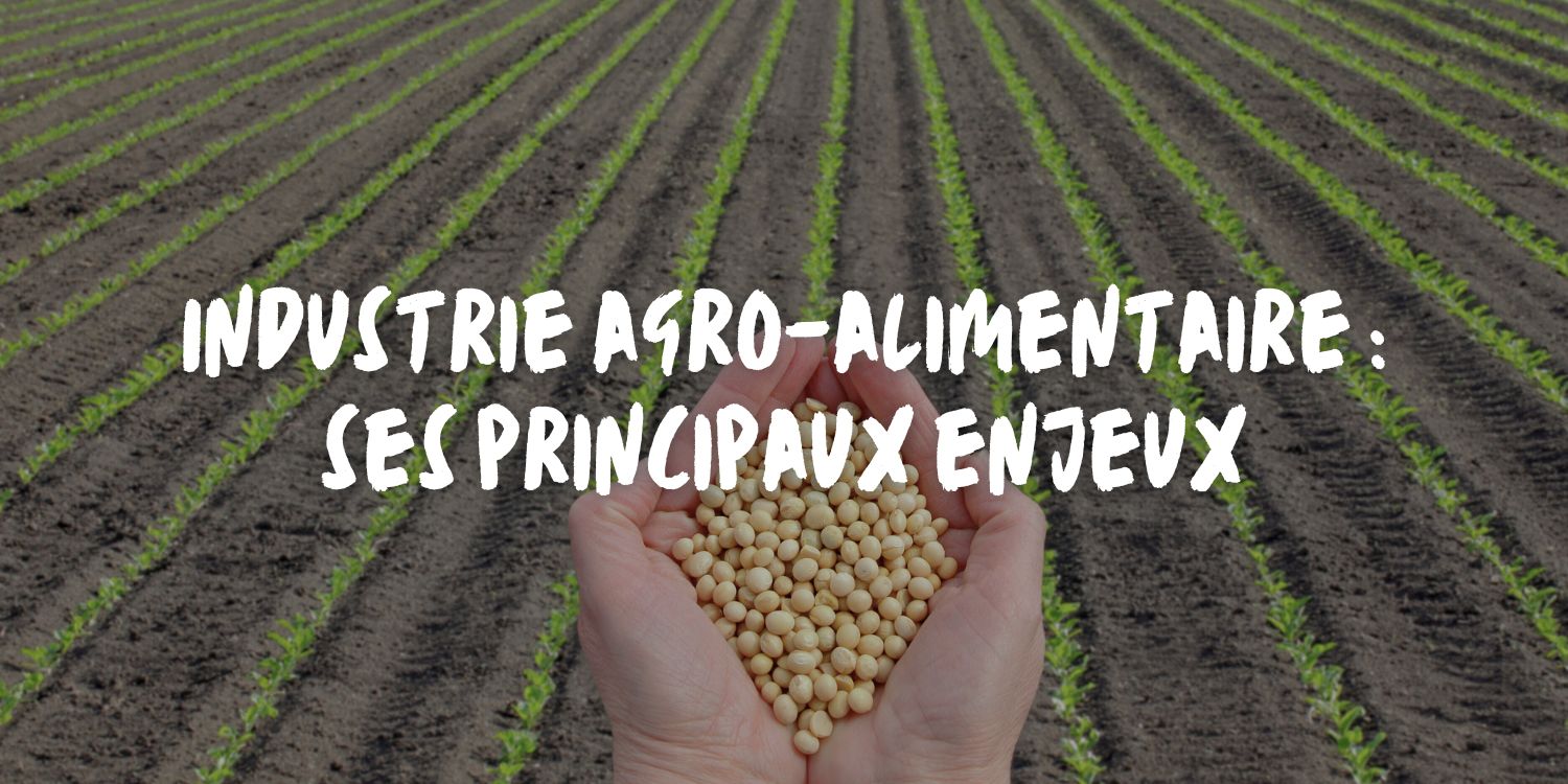 industrie agro-alimentaire : ses principaux enjeux